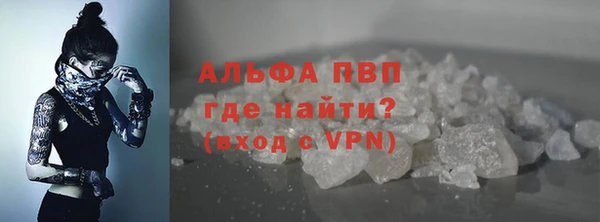 амф Аркадак