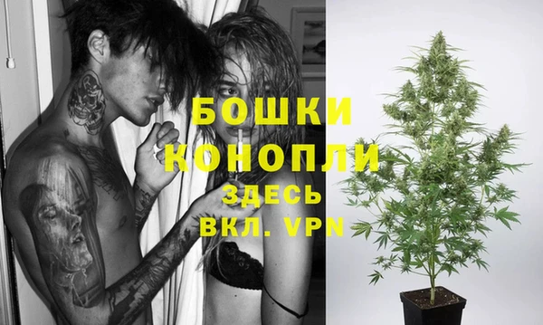 амф Аркадак