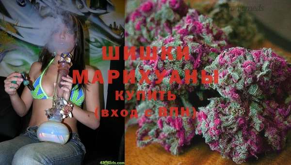 амф Аркадак