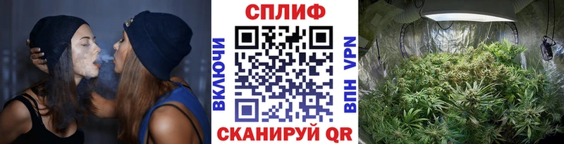 Купить  Ермолино  Каннабис SATIVA & INDICA 